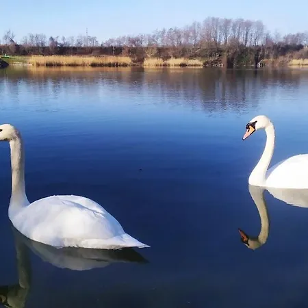 La Grande Motte Vrdnik