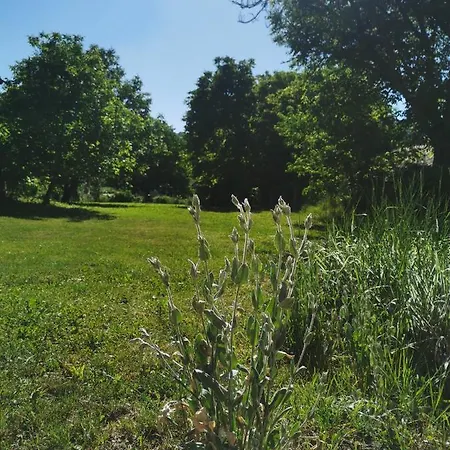 Apartmán La Grande Motte Vrdnik