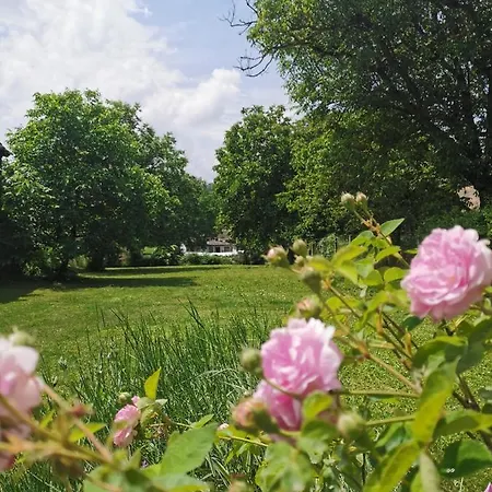 La Grande Motte Врдник