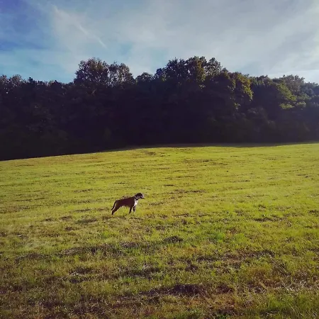 Apartmán La Grande Motte