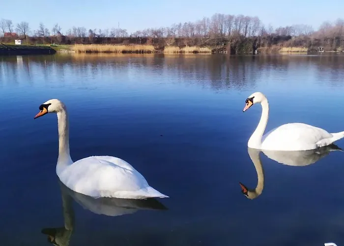 La Grande Motte Vrdnik