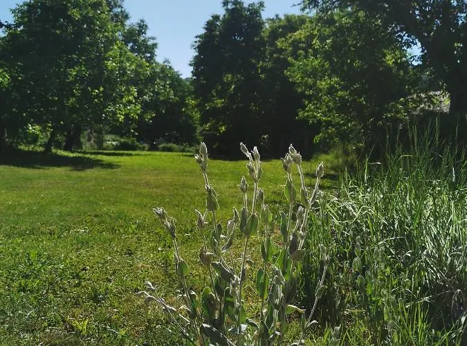 Appartement La Grande Motte Vrdnik