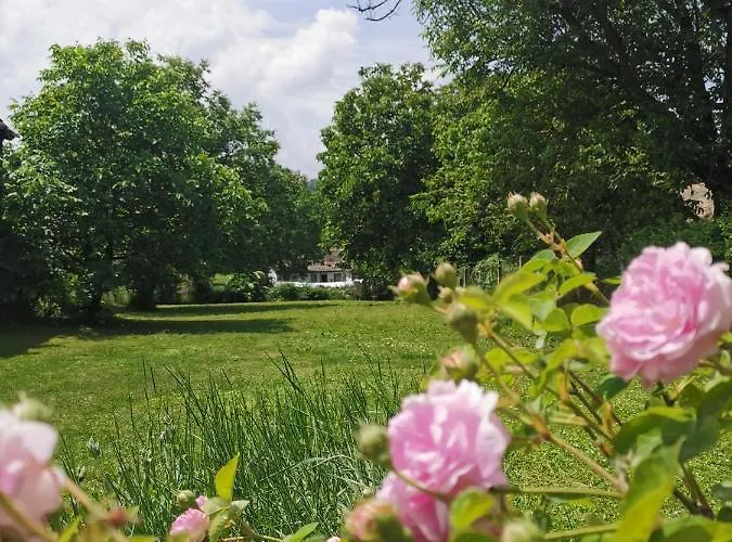 La Grande Motte ורדניק