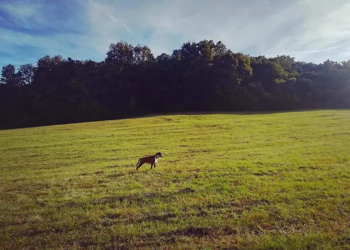 Appartement La Grande Motte